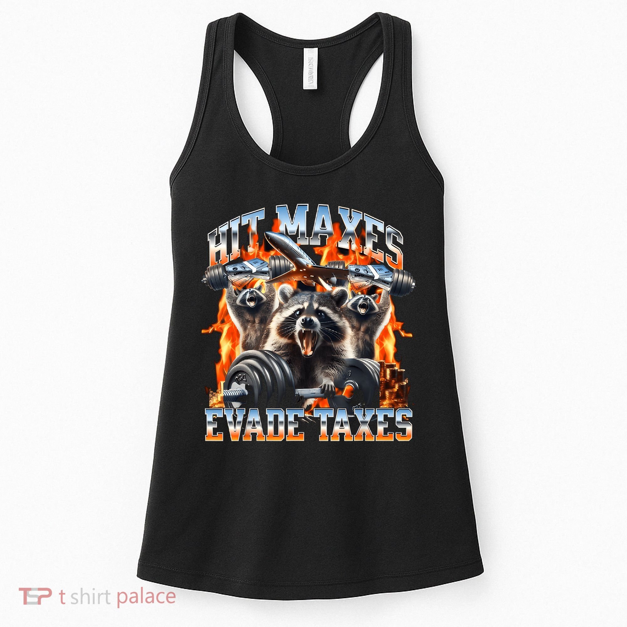Raccoon Hit Maxes Evade Taxes Women's Tank Top