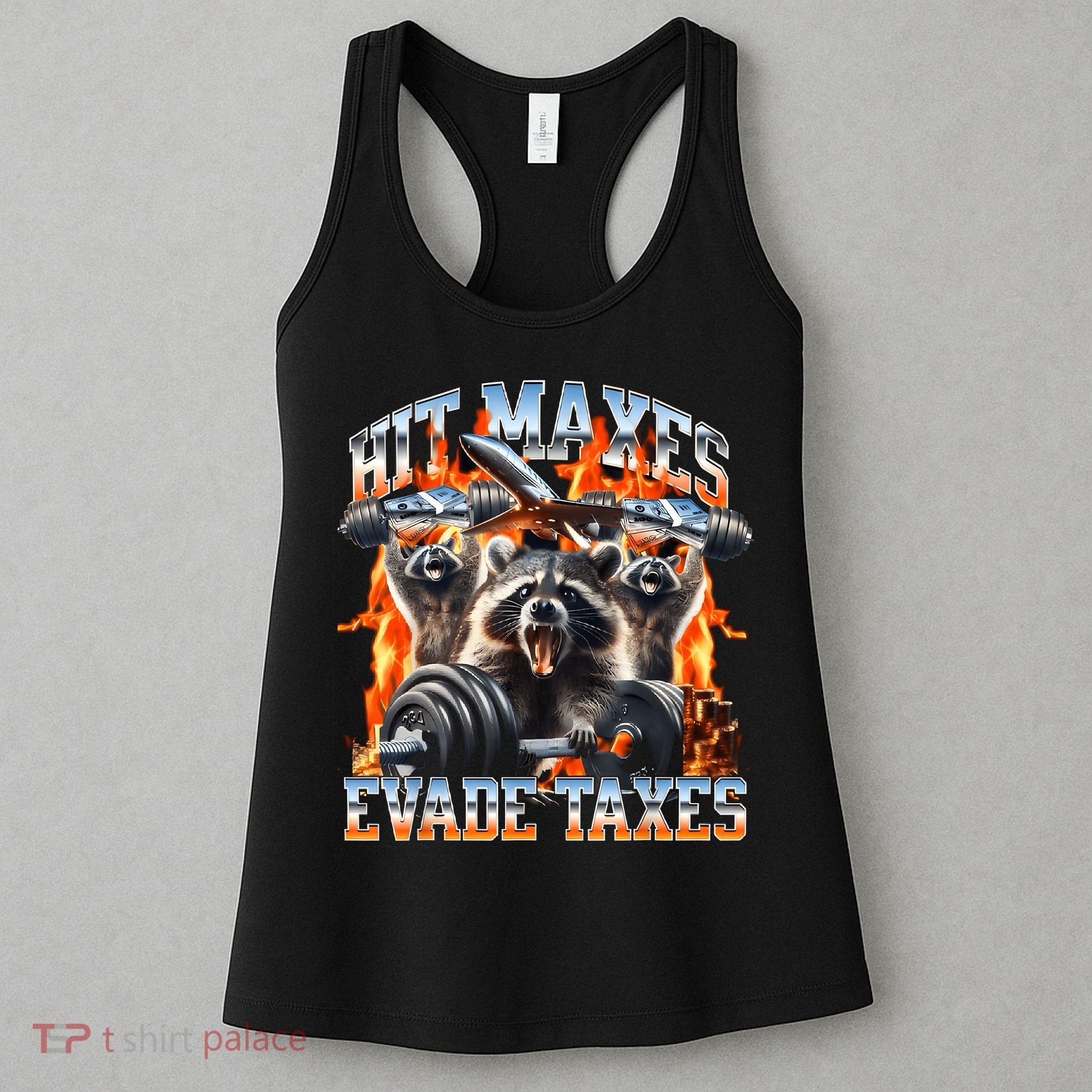 Raccoon Hit Maxes Evade Taxes Women's Tank Top