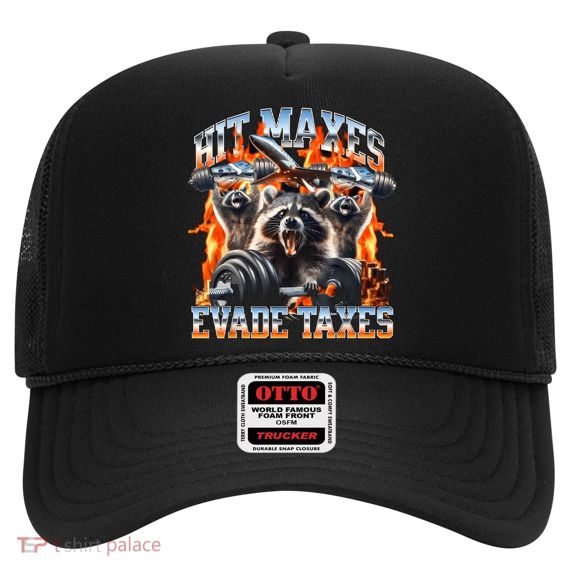 Raccoon Hit Maxes Evade Taxes Hat