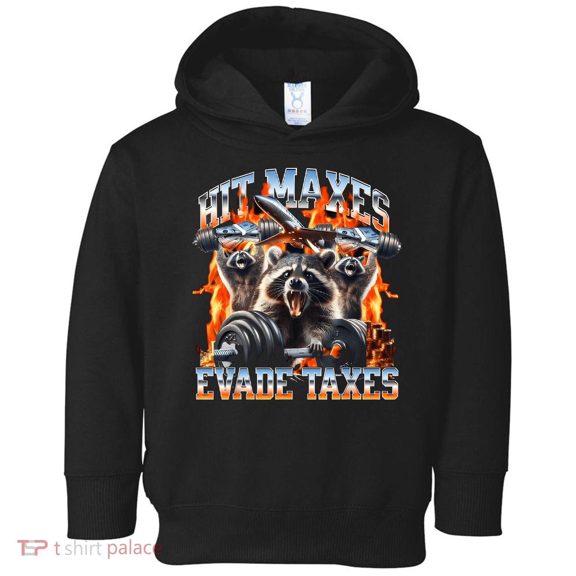 Raccoon Hit Maxes Evade Taxes Toddler Hoodie