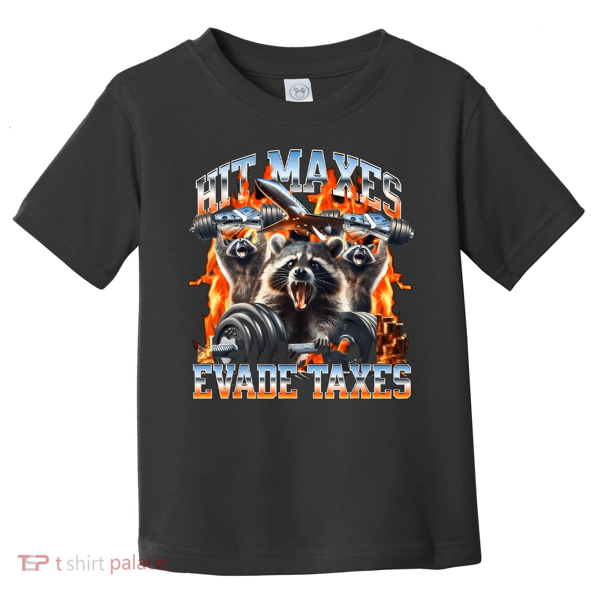 Raccoon Hit Maxes Evade Taxes Toddler T-Shirt