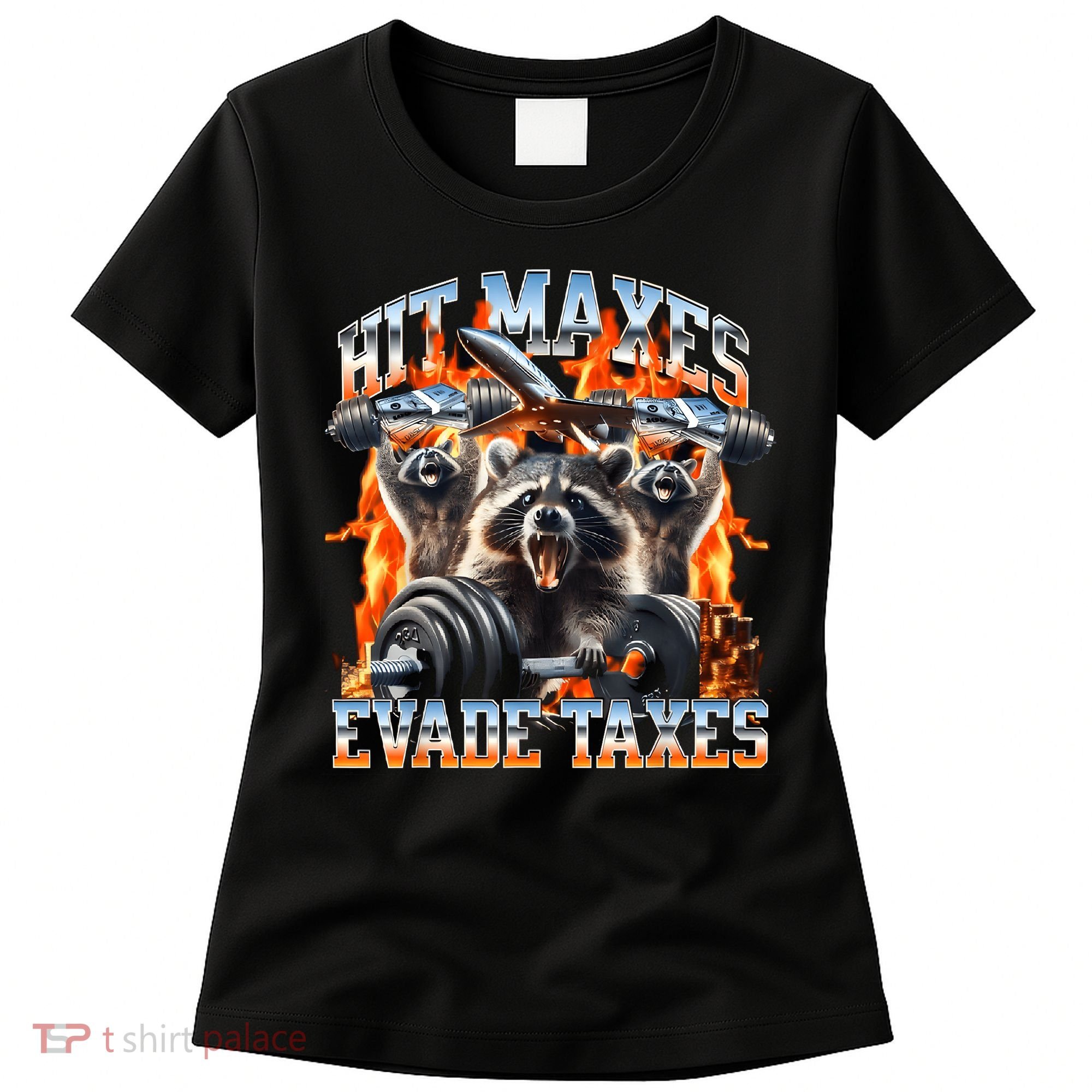 Raccoon Hit Maxes Evade Taxes Women's T-Shirt