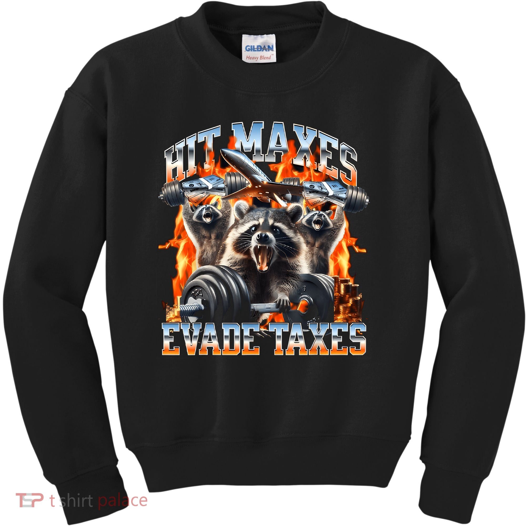 Raccoon Hit Maxes Evade Taxes Kids Sweatshirt