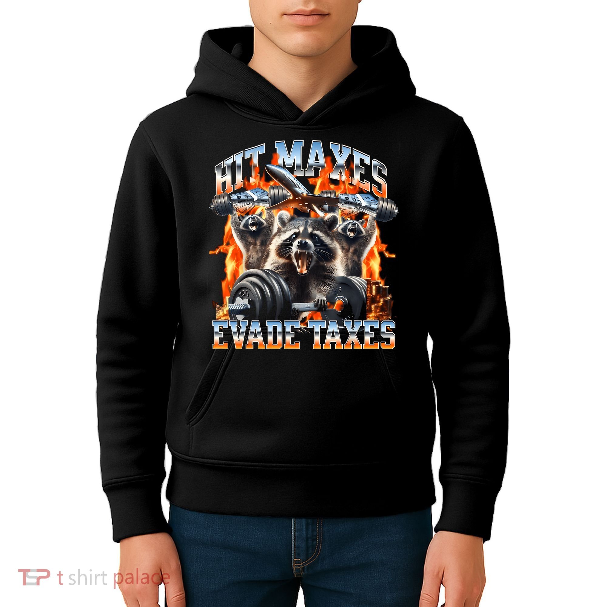 Raccoon Hit Maxes Evade Taxes Kids Hoodie