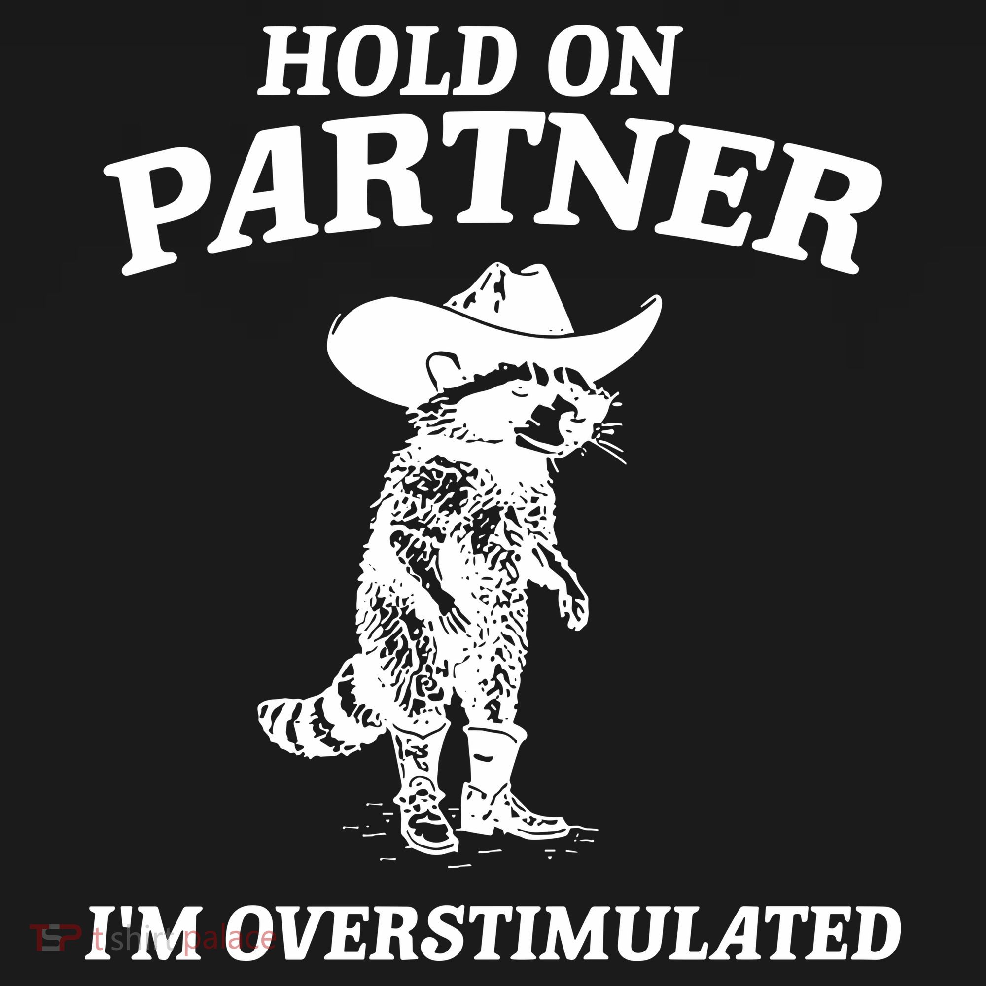 Raccoon Hold On Partner IM Overstimulated Women's Tank Top
