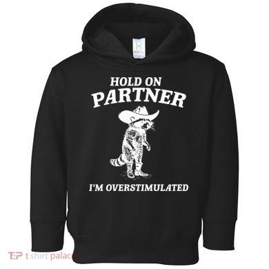 Raccoon Hold On Partner IM Overstimulated Toddler Hoodie