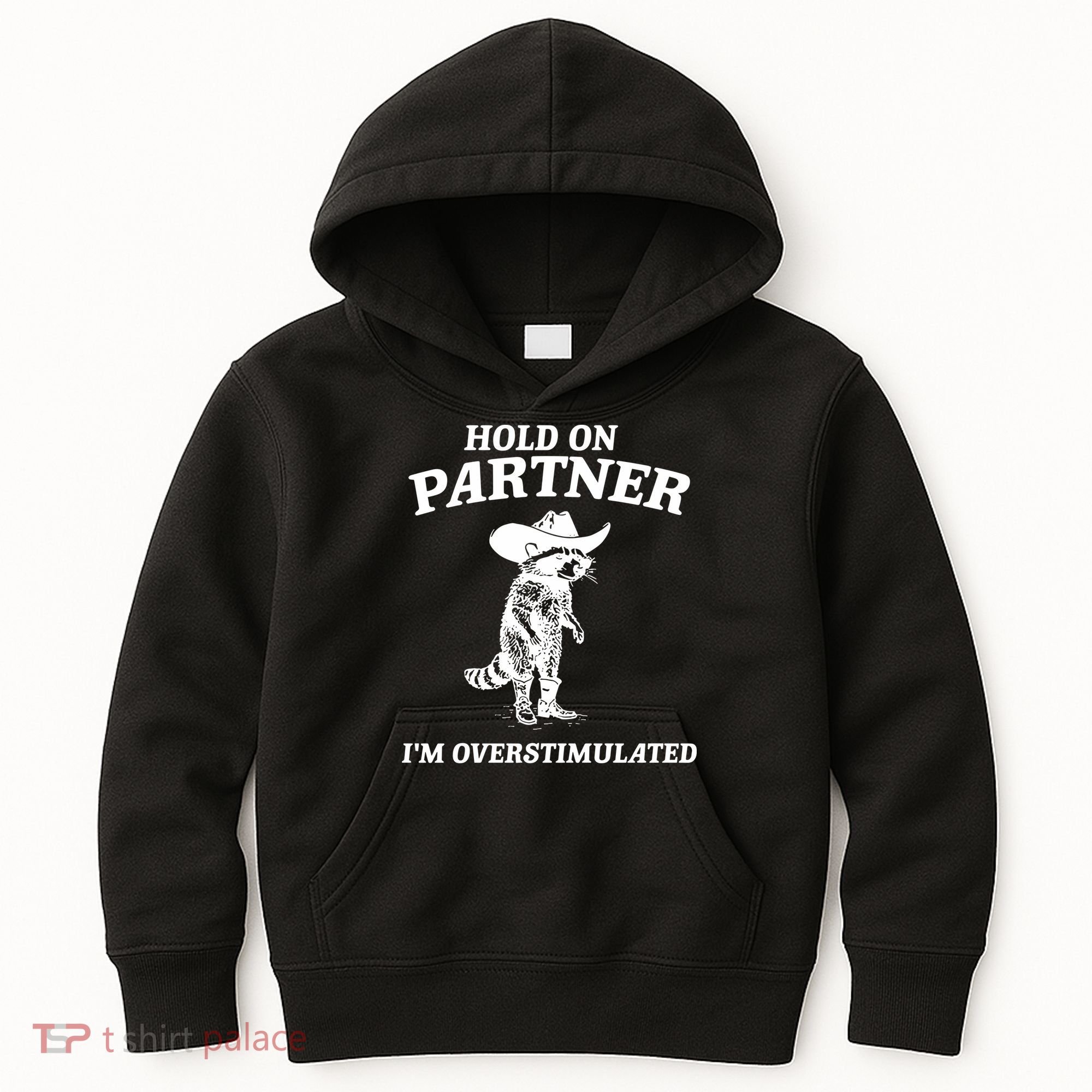 Raccoon Hold On Partner IM Overstimulated Kids Hoodie