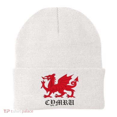 Retro Heraldic Red Welsh Dragon Of Wales Cymru Y Ddraig Goch Beanie
