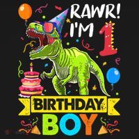 Rawr I'm 1st Birthday Boy Dinosaur Trex 1 Years Old Party Women's Hoodie thumb 2