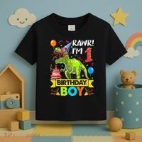 Rawr I'm 1st Birthday Boy Dinosaur Trex 1 Years Old Party Toddler T-Shirt thumb 3
