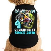 Rawr I'm 4 Monster Truck Dinosaur 4th Birthday Party Boys Doggie Tank thumb 0