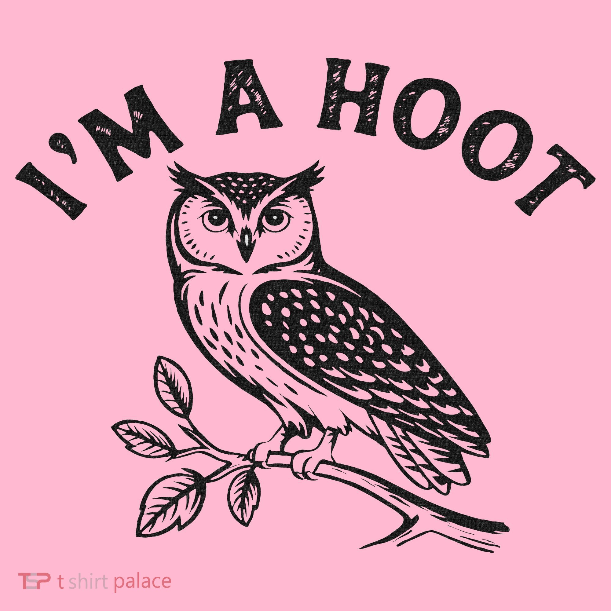 Retro I'm A Hoot Owl Bird Pun Sarcastic Jokes Women Coaster