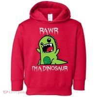 Rawr IM A Dinosaur Cartoon Trex Monster Toddler Hoodie thumb 0