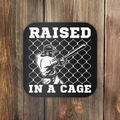 Raised In A Cage Baseball Training Batter Catcher Pitch Coaster