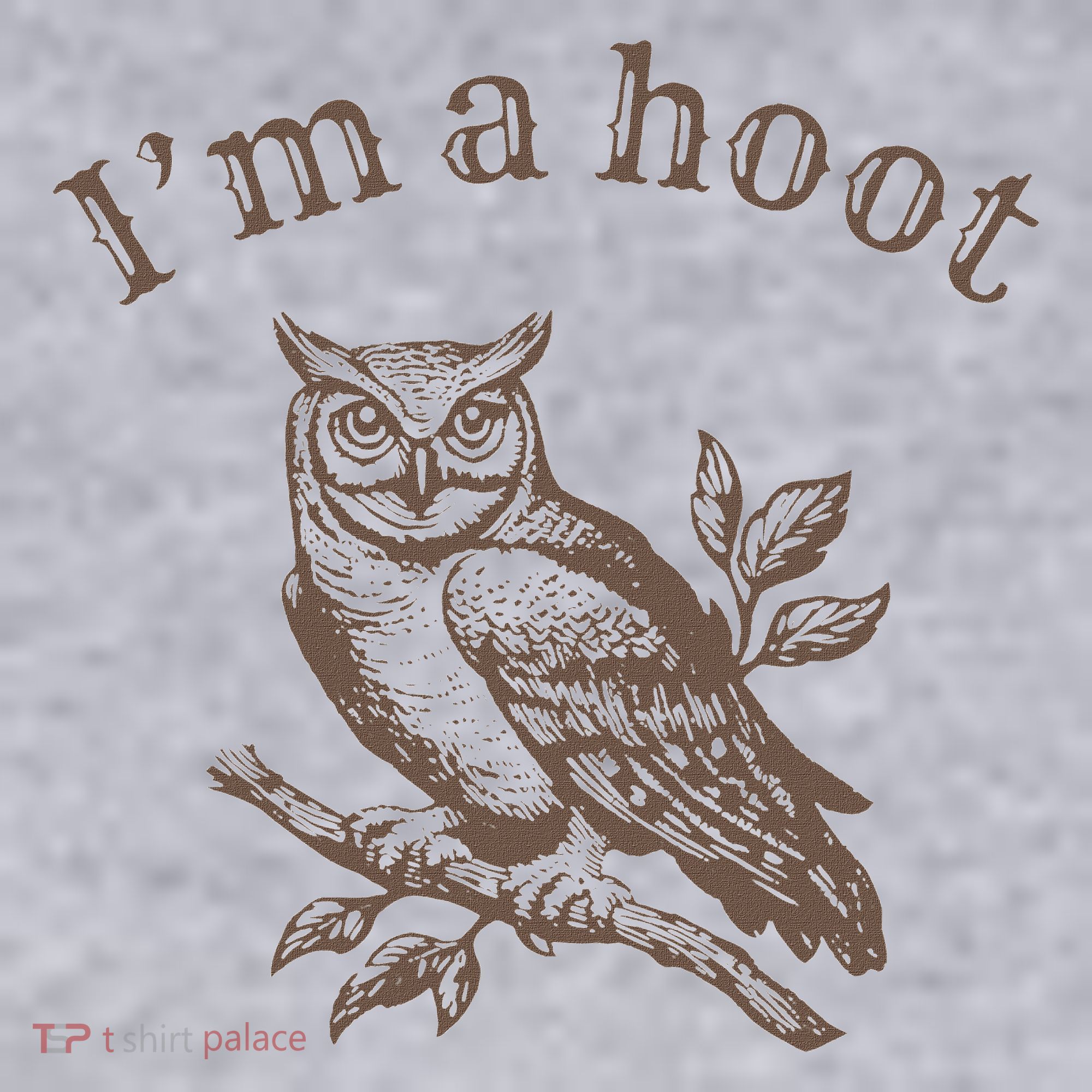 Retro IM A Hoot Owl Bird Pun Sarcastic Jokes Women Women's Sweatshirt
