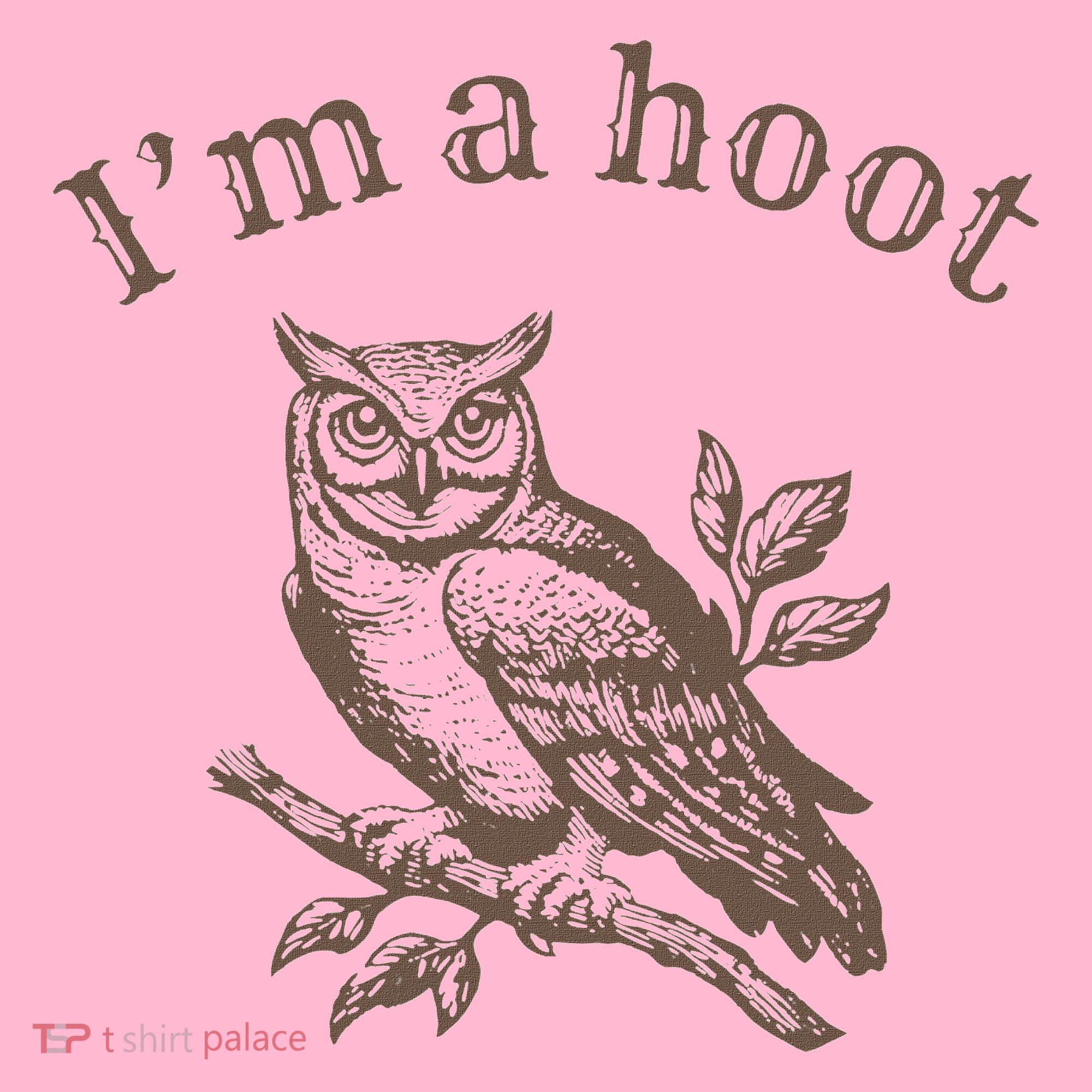 Retro IM A Hoot Owl Bird Pun Sarcastic Jokes Women Coaster