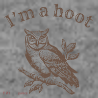 Retro IM A Hoot Owl Bird Pun Sarcastic Jokes Women Toddler Hoodie thumb 2