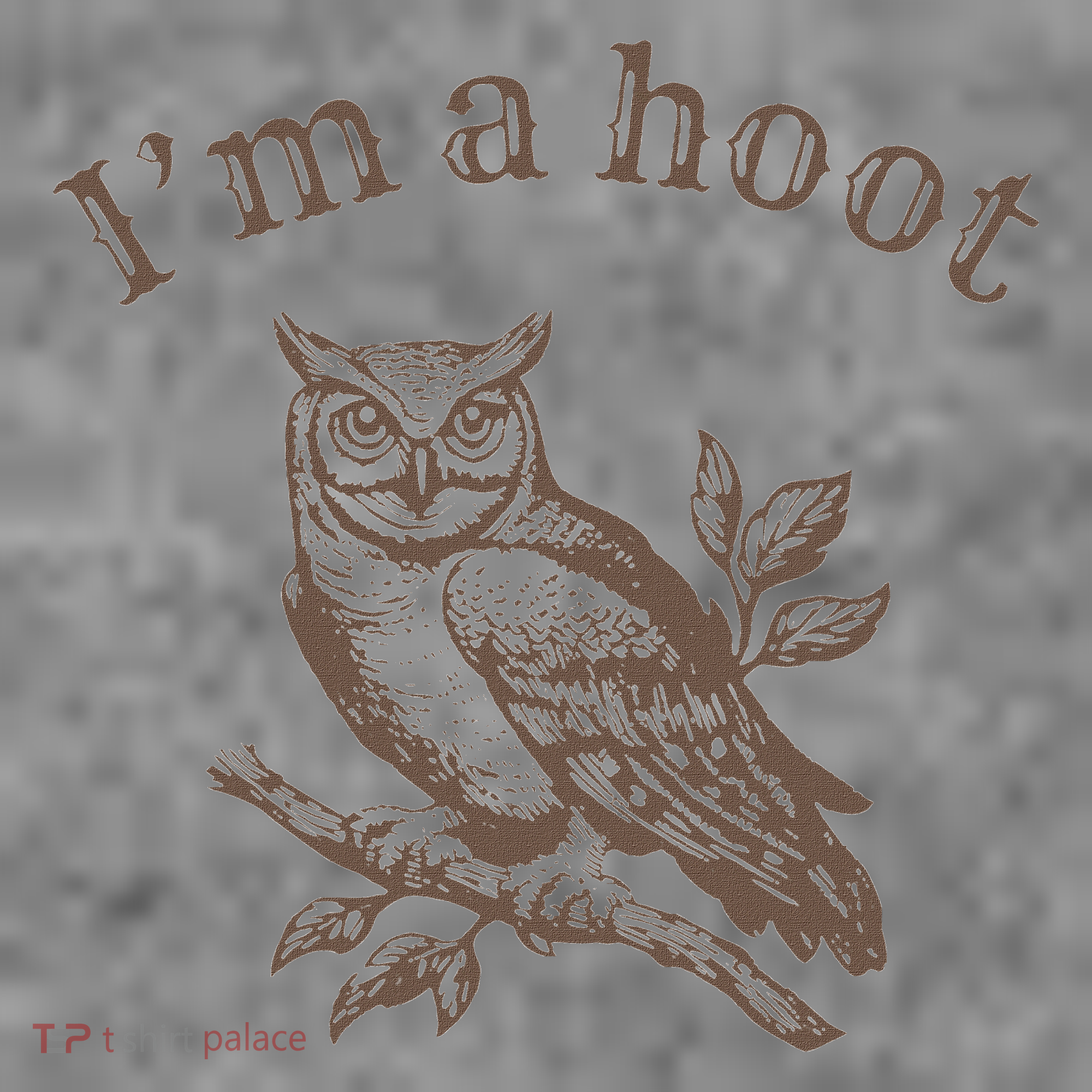 Retro IM A Hoot Owl Bird Pun Sarcastic Jokes Women Toddler Hoodie