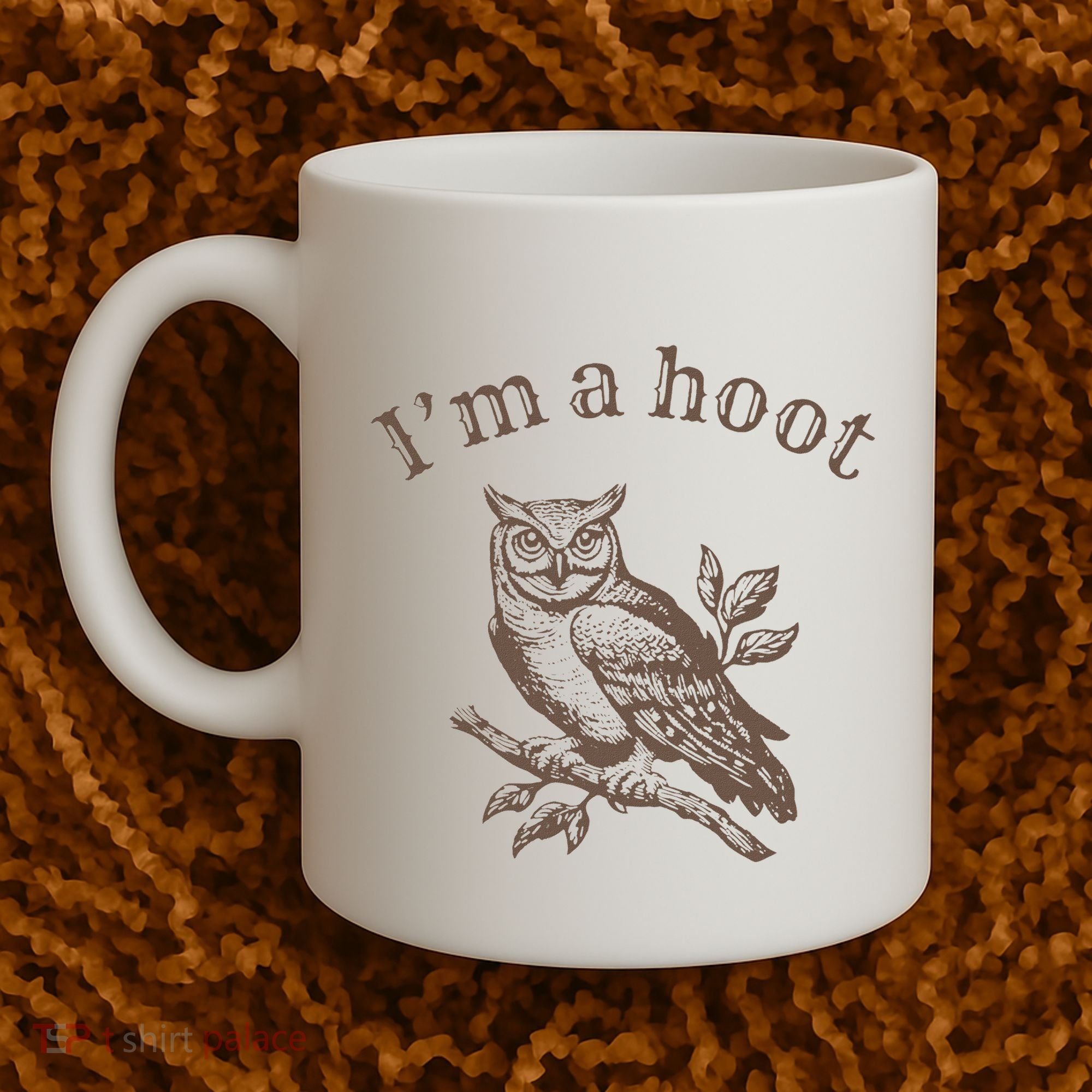 Retro IM A Hoot Owl Bird Pun Sarcastic Jokes Women Coffee Mug