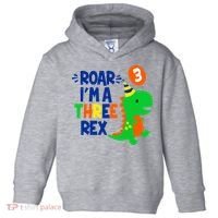 Roar I'm A Three Rex Dinosaur 3rd Birthday Boy 3 Years Bday Toddler Hoodie thumb 0