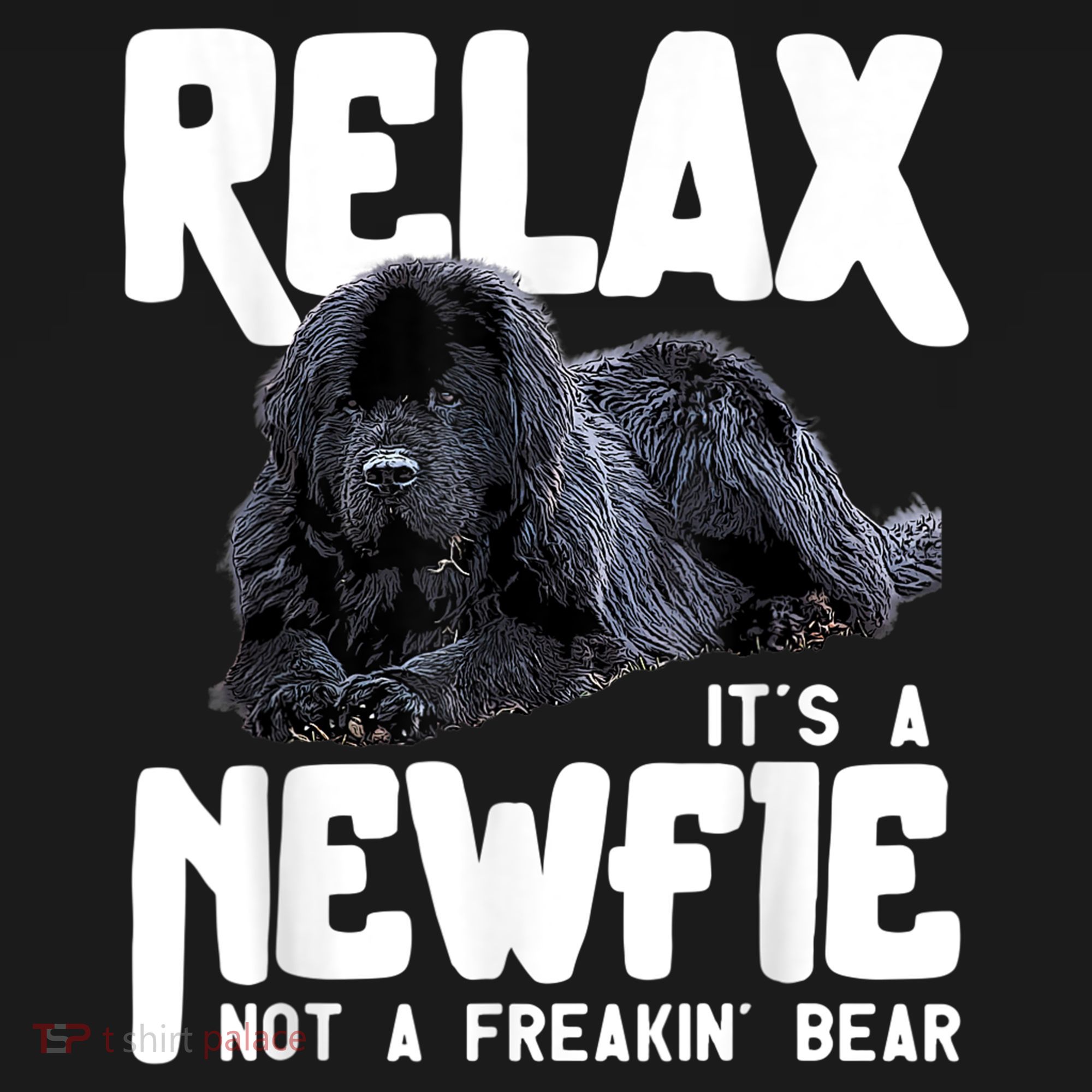 Relax ItS A Newfie Not A Freakin Bear Newfoundland Dog Women's Hoodie
