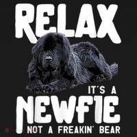 Relax ItS A Newfie Not A Freakin Bear Newfoundland Dog Toddler Hoodie thumb 2