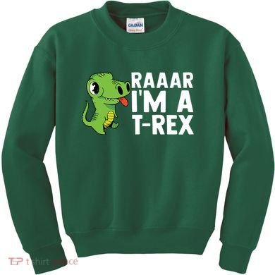 Raar I'm A T Rex Cute Funny Dinosaur Kids Sweatshirt