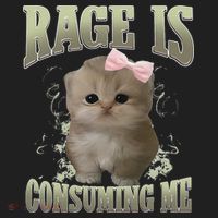 Rage Is Consuming Me Cute Coquette Bow Kawaii Cat Meme Women's Sweatshirt thumb 2