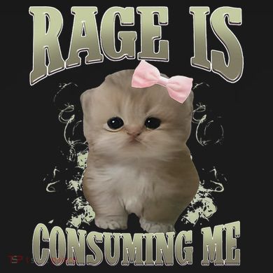 Rage Is Consuming Me Cute Coquette Bow Kawaii Cat Meme Flat Bill Trucker Hat