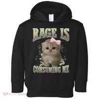 Rage Is Consuming Me Cute Coquette Bow Kawaii Cat Meme Toddler Hoodie thumb 0