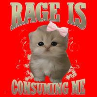 Rage Is Consuming Me Cute Coquette Bow Kawaii Cat Meme Santa Hat thumb 1