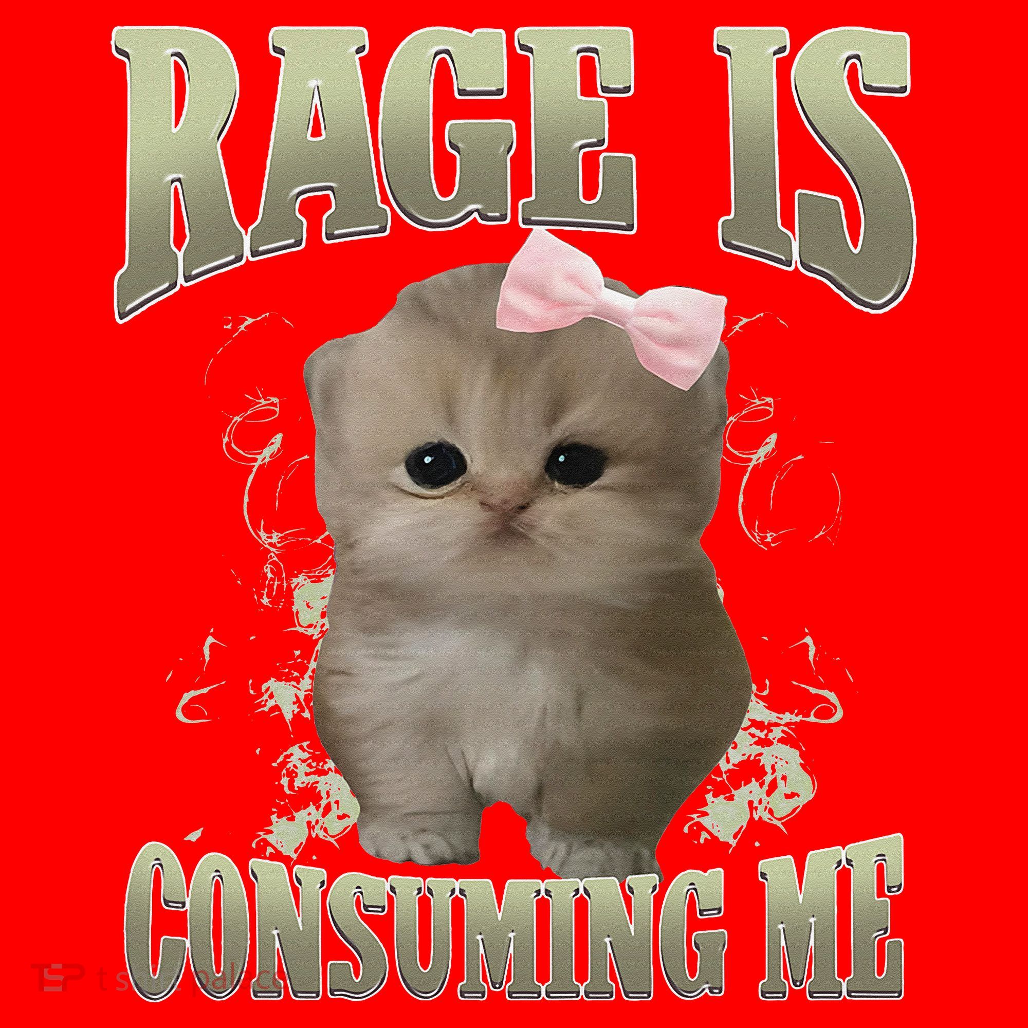 Rage Is Consuming Me Cute Coquette Bow Kawaii Cat Meme Santa Hat