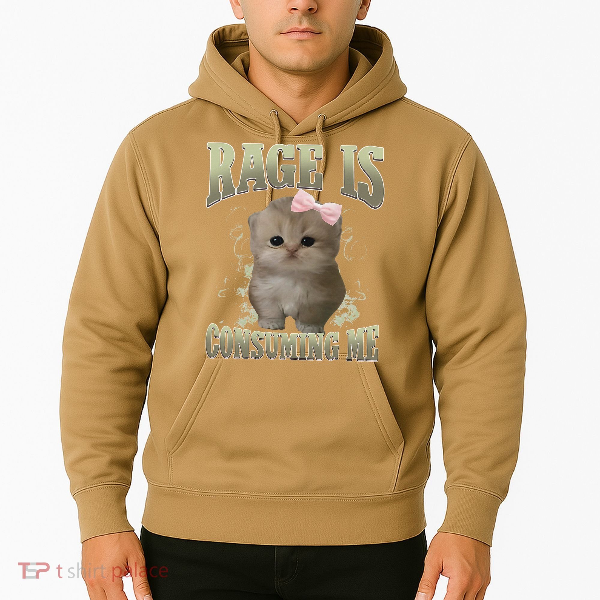 Rage Is Consuming Me Cute Coquette Bow Kawaii Cat Meme Hoodie