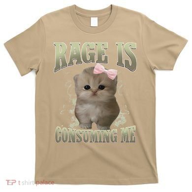 Rage Is Consuming Me Cute Coquette Bow Kawaii Cat Meme T-Shirt