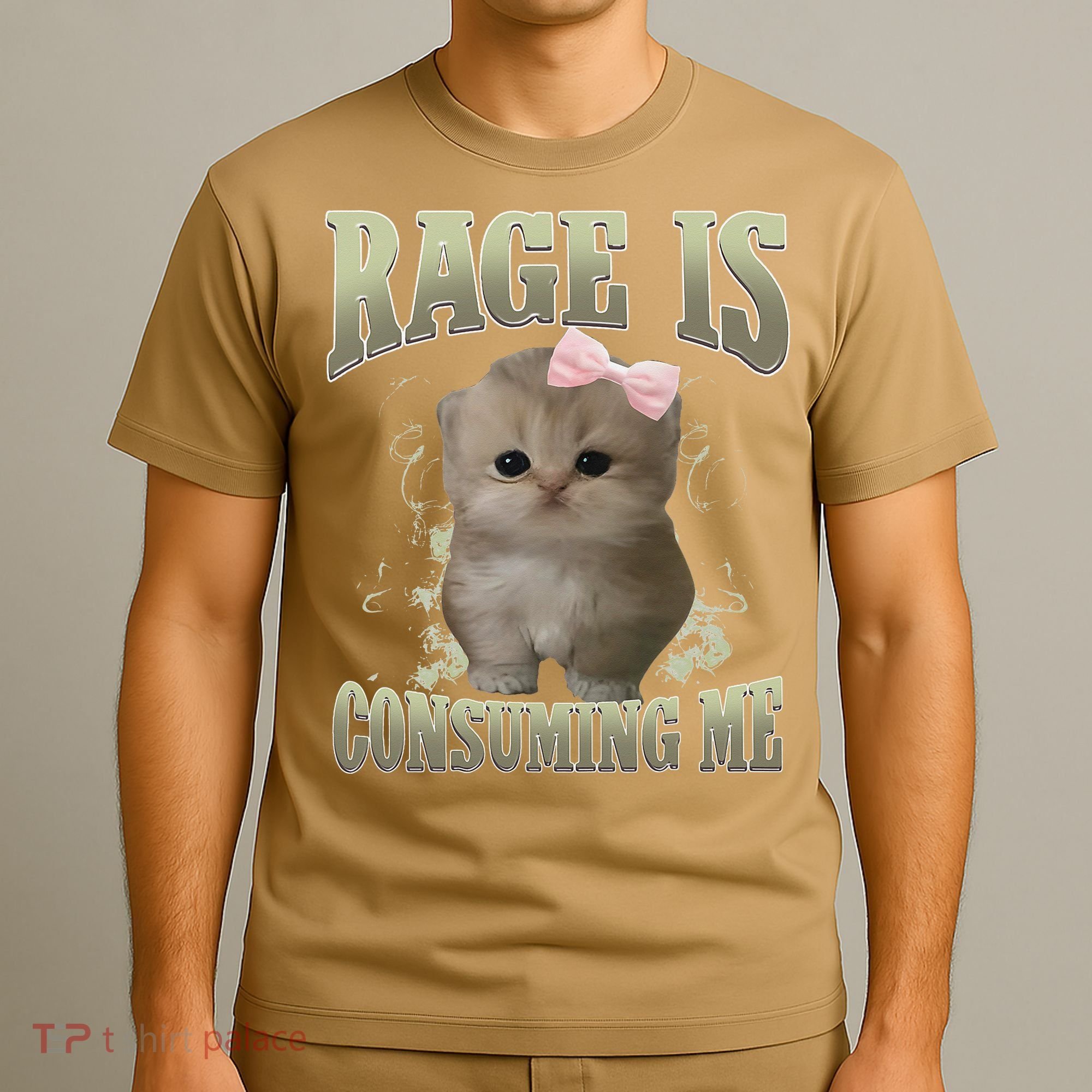 Rage Is Consuming Me Cute Coquette Bow Kawaii Cat Meme T-Shirt