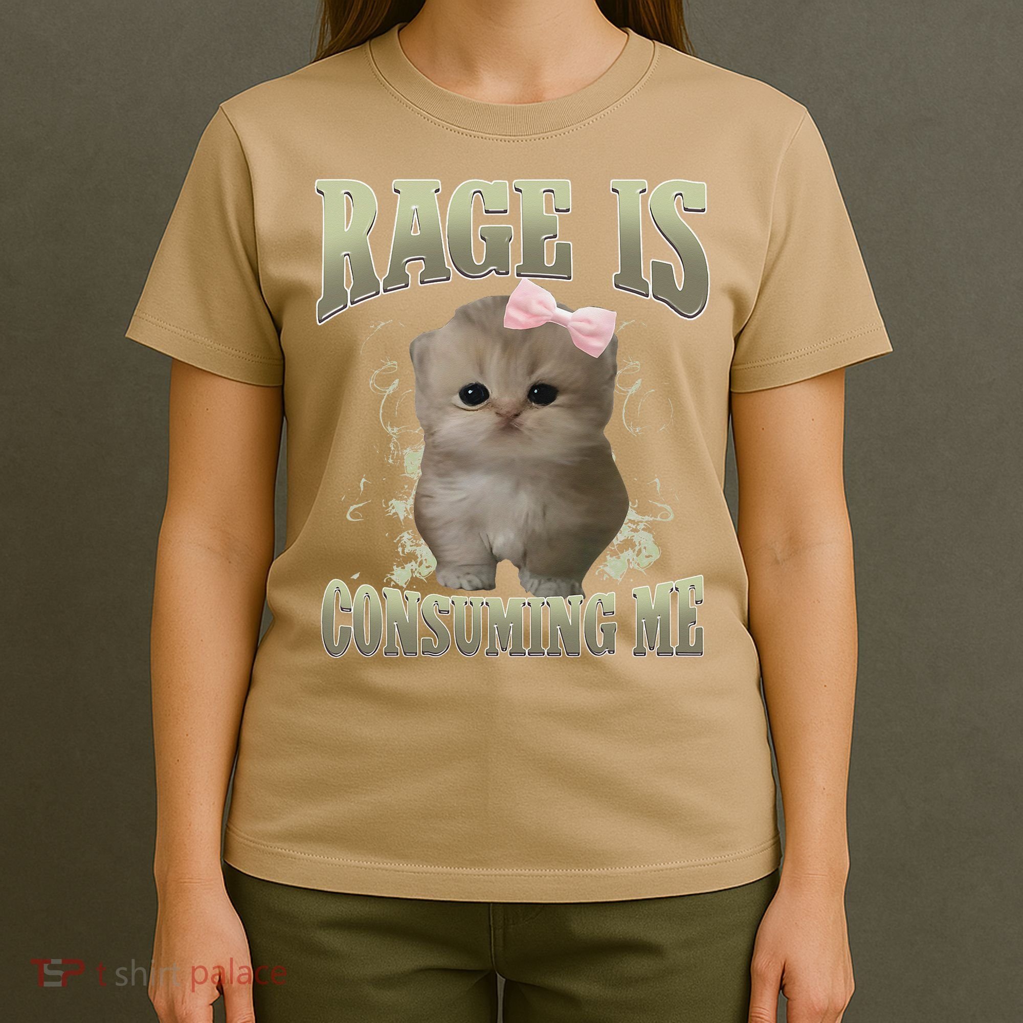 Rage Is Consuming Me Cute Coquette Bow Kawaii Cat Meme T-Shirt