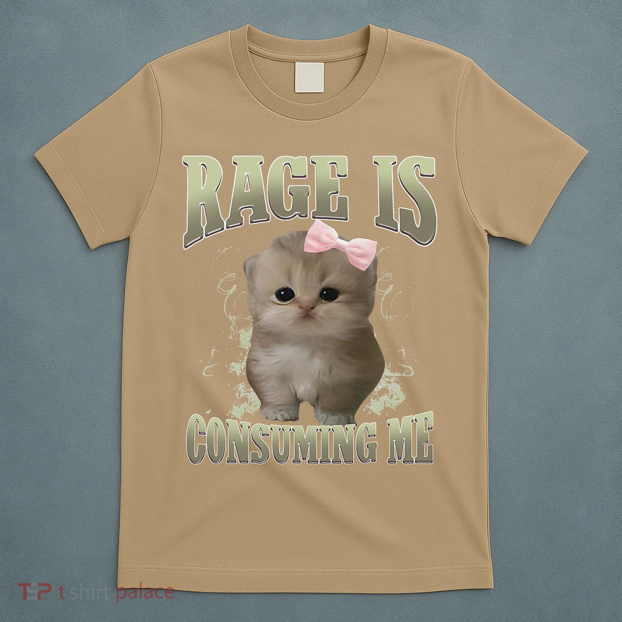 Rage Is Consuming Me Cute Coquette Bow Kawaii Cat Meme T-Shirt