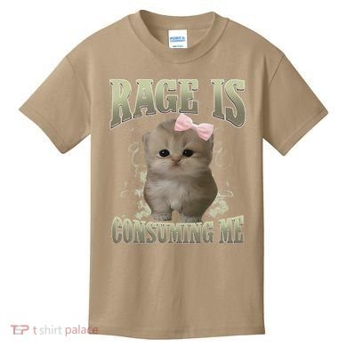 Rage Is Consuming Me Cute Coquette Bow Kawaii Cat Meme Kids T-Shirt