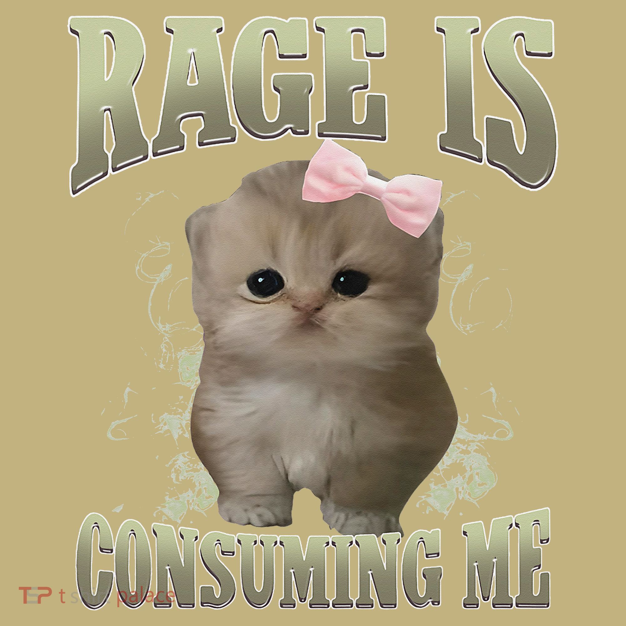 Rage Is Consuming Me Cute Coquette Bow Kawaii Cat Meme Kids T-Shirt