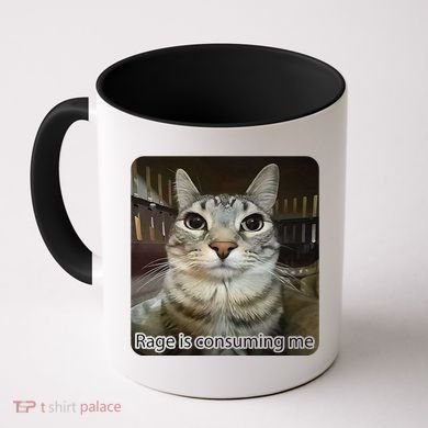 Rage Is Consuming Me Funny Meme Cat Joke Cat Lovers Coffee Mug