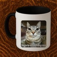 Rage Is Consuming Me Funny Meme Cat Joke Cat Lovers Coffee Mug thumb 2
