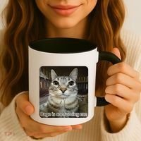 Rage Is Consuming Me Funny Meme Cat Joke Cat Lovers Coffee Mug thumb 3