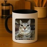 Rage Is Consuming Me Funny Meme Cat Joke Cat Lovers Coffee Mug thumb 4