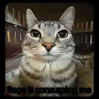 Rage Is Consuming Me Funny Meme Cat Joke Cat Lovers Coffee Mug thumb 5