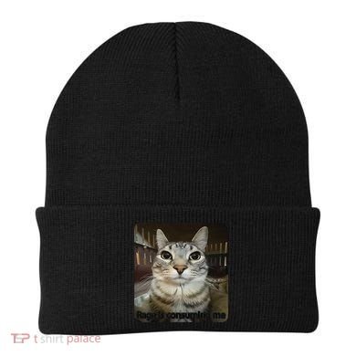 Rage Is Consuming Me Funny Meme Cat Joke Cat Lovers Beanie