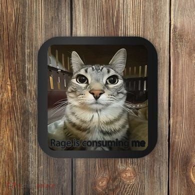 Rage Is Consuming Me Funny Meme Cat Joke Cat Lovers Coaster