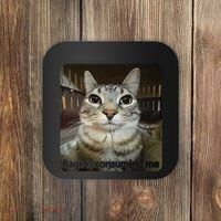 Rage Is Consuming Me Funny Meme Cat Joke Cat Lovers Coaster thumb 0