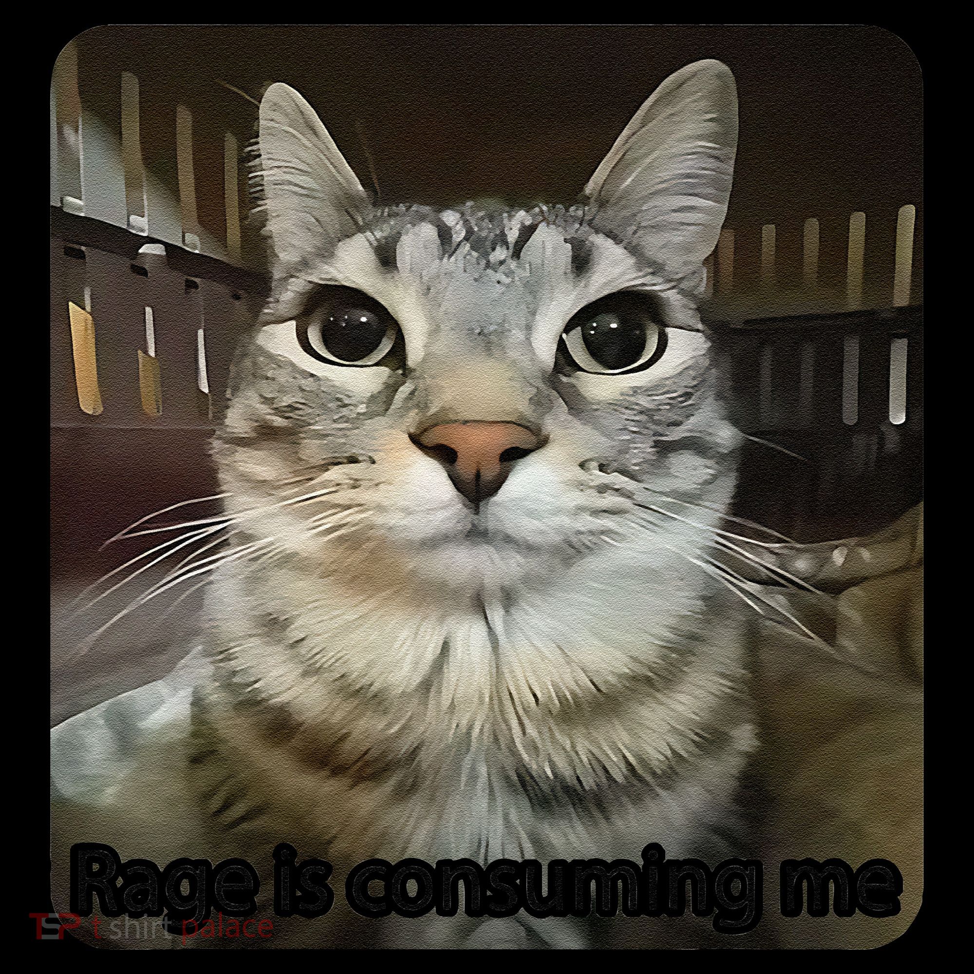 Rage Is Consuming Me Funny Meme Cat Joke Cat Lovers Women's Hoodie
