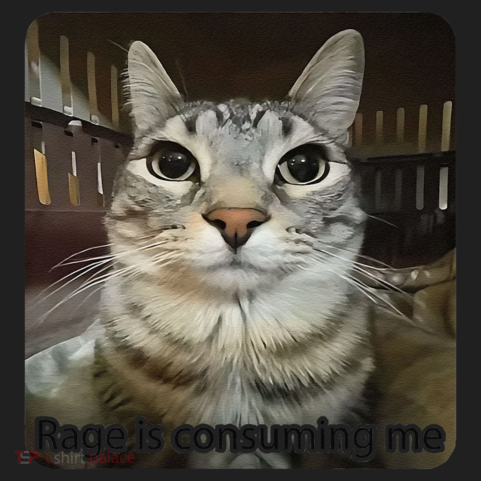 Rage Is Consuming Me Funny Meme Cat Joke Cat Lovers Tumbler