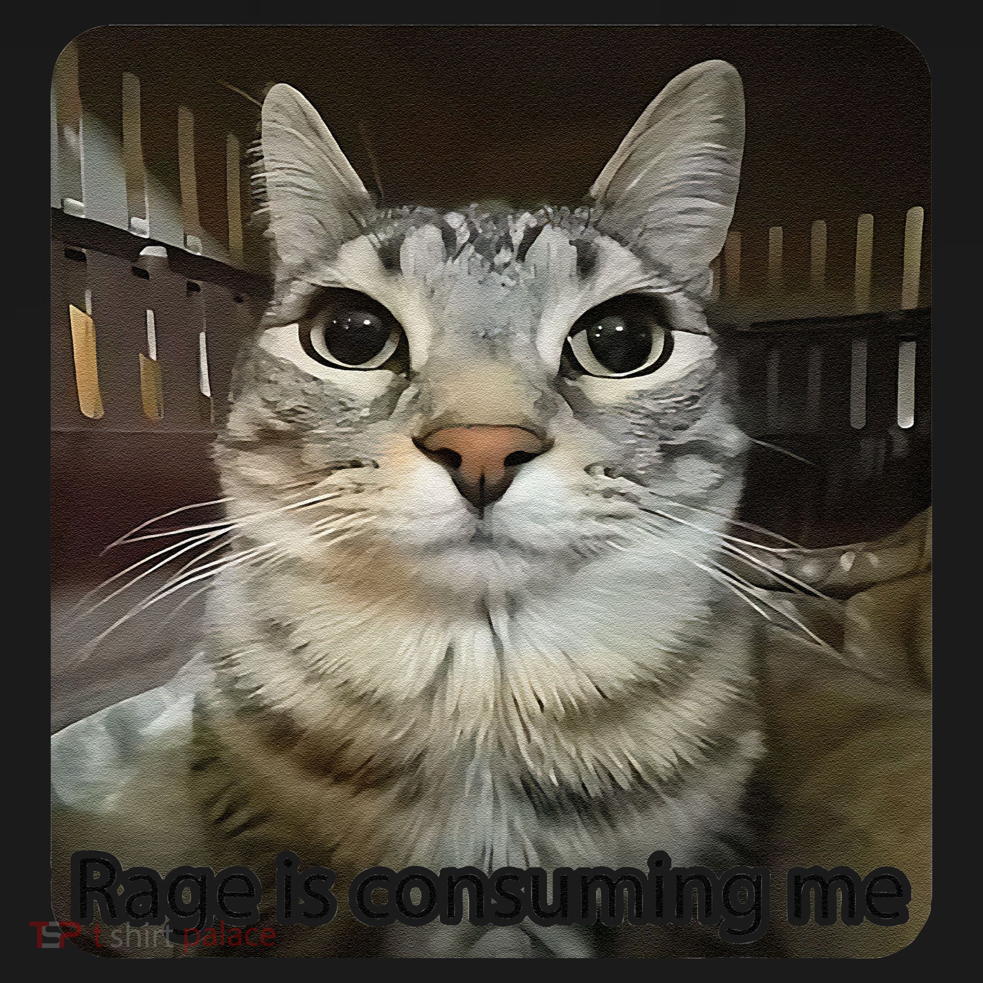 Rage Is Consuming Me Funny Meme Cat Joke Cat Lovers Women's Tank Top